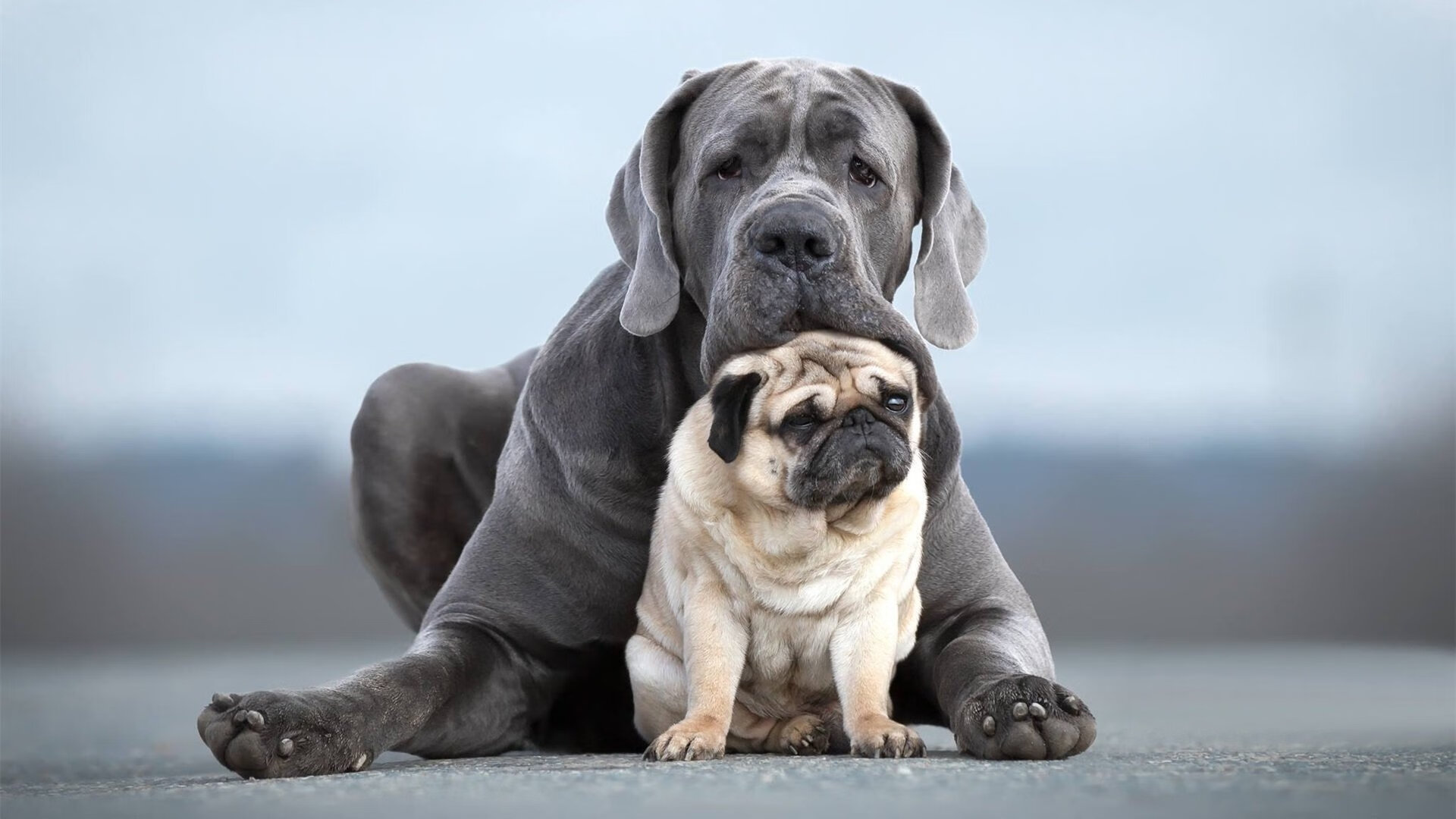 读秒绝杀！无名小卒皮克化身英雄，沙特上演沙漠奇迹
