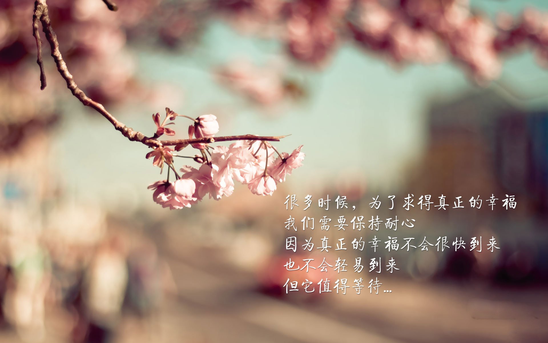 开拓者轻取热火,塔图姆的关键时刻如何定义胜利