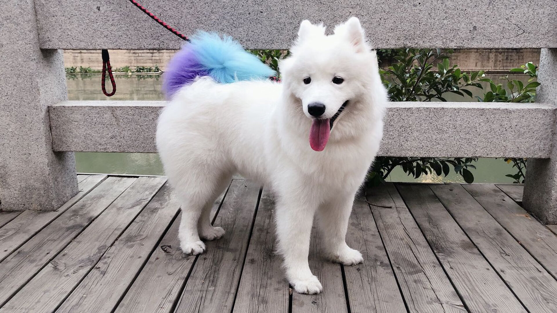 隔空接棒，从范哈内亨到楚阿梅尼，天命时刻的传承