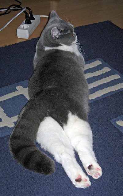 保罗成为胜负手！临危受命关键5分+致命抢断，尼克斯逆转太阳上演完美剧本