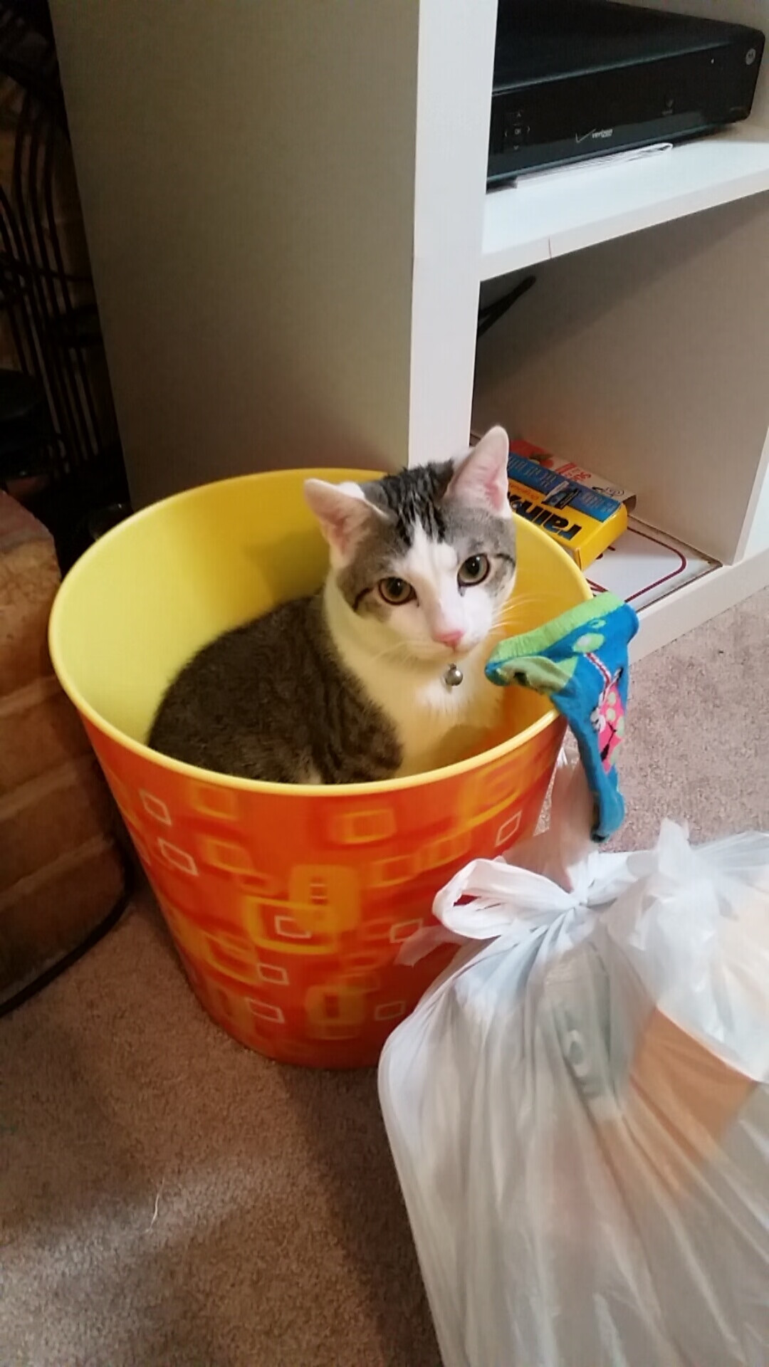 39岁轰30+三双！詹姆斯独行侠续写不老神话，这项数据他竟比12年前还强