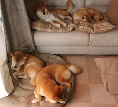 当另一个詹姆斯全程高能输出，开拓者狂胜火箭燃爆赛场