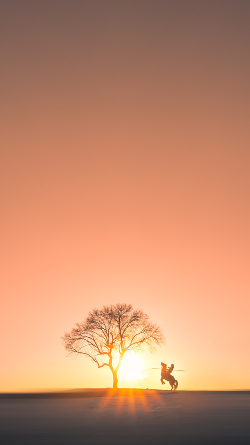 东决之夜，帕尔默举起枪，射落了月亮