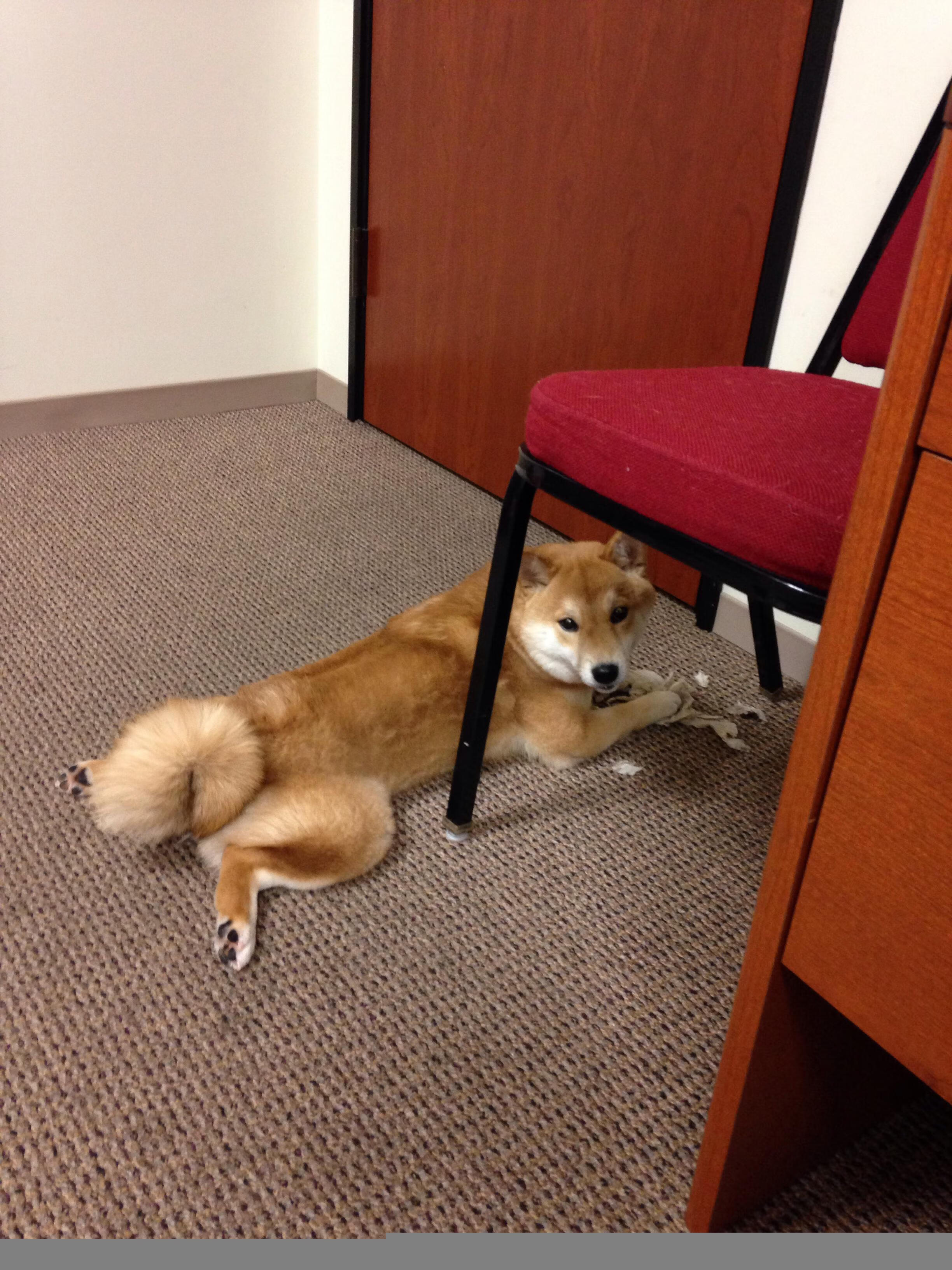 跨越太平洋的篮球对话,浙江队友谊赛憾负篮网,伦纳德客场征服全场无争议