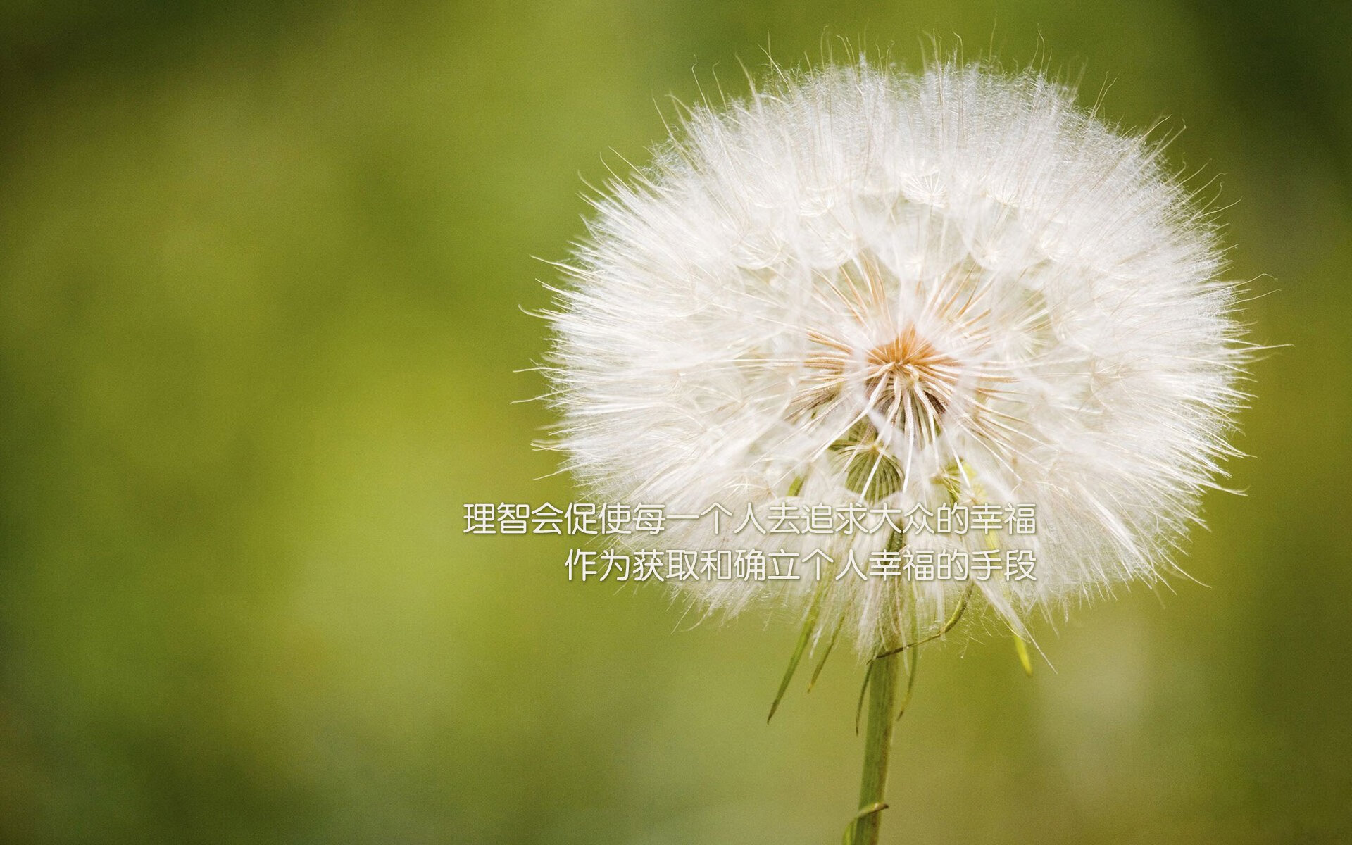 绿茵大场面的两种注脚，当迪亚斯的锋芒遇见袋鼠军团的铁壁