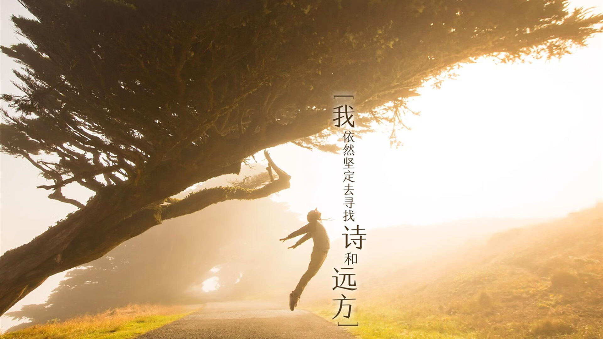 关键先生詹姆斯力挽狂澜,热火险胜黄蜂延续连胜