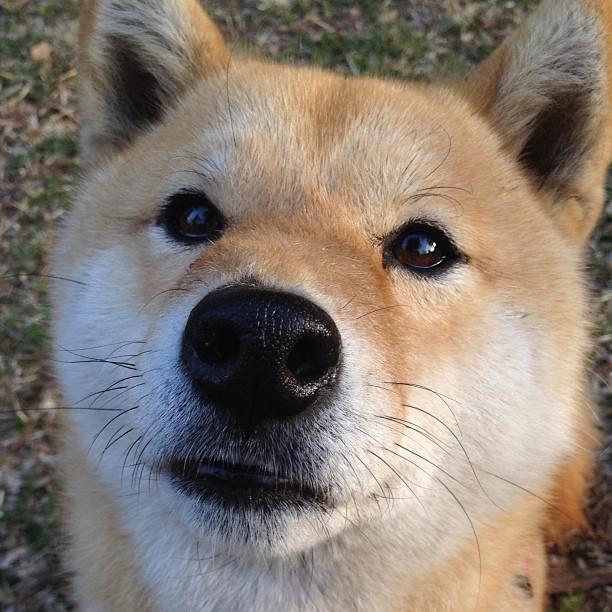 天降审判，当伦纳德跨时空成为骑士与凯尔特人的唯一胜负手