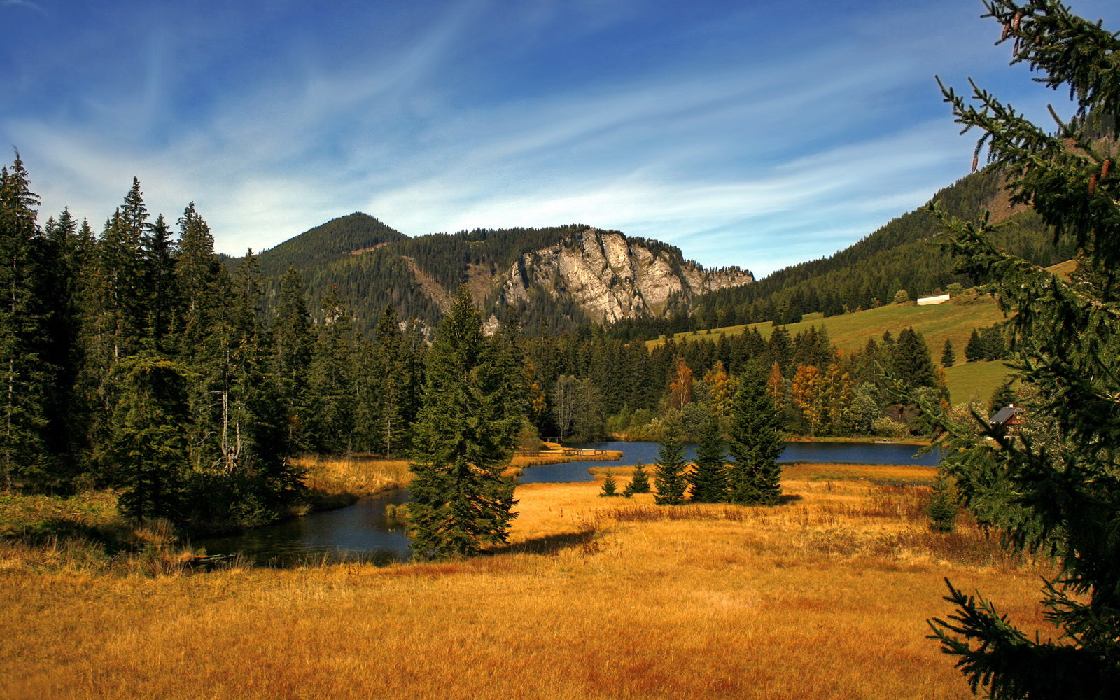跨越重洋的绝杀,当深圳之矛刺穿马刺之盾,范弗利特在镜像时空接管战场