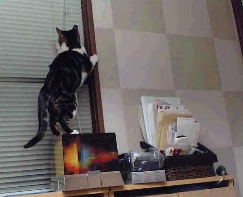 终局者伊布,左手划开金箔,马赛的午夜决胜时刻