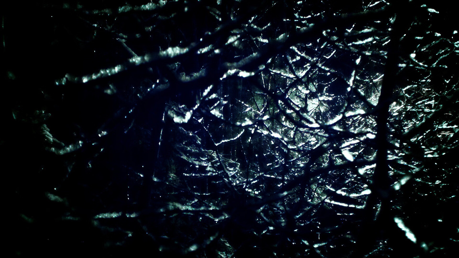 从板凳席到聚光灯，爱德华兹的奇袭之夜如何点燃麦迪逊