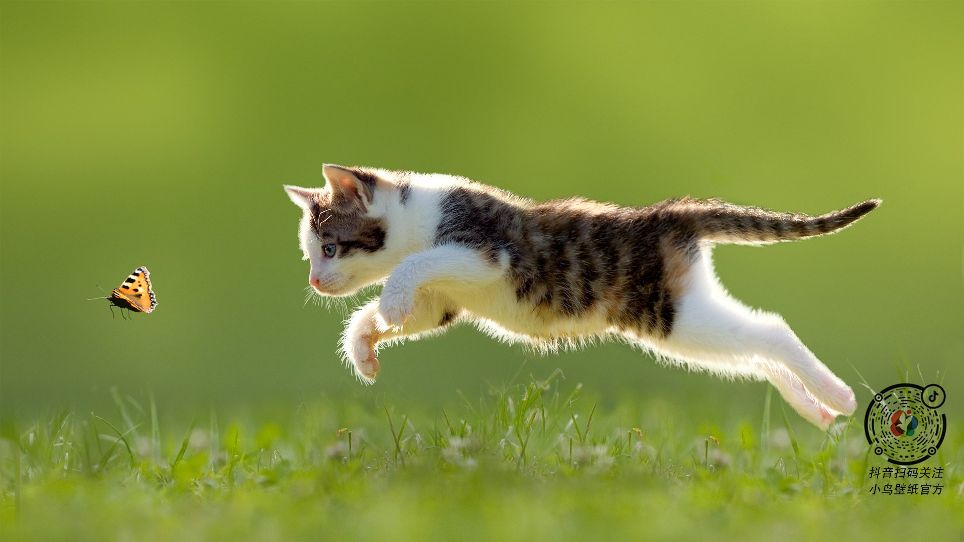 诺坎普的暗影舞者，迪亚斯在国家德比的加冕之夜