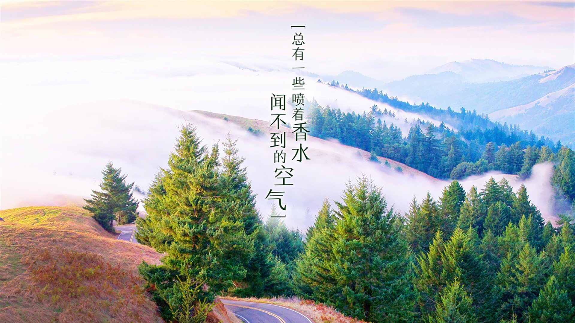 亚细亚铁骑踏碎樱花，布罗佐维奇的中军帐，如何用一记手术刀剖开日本队的不败金身？