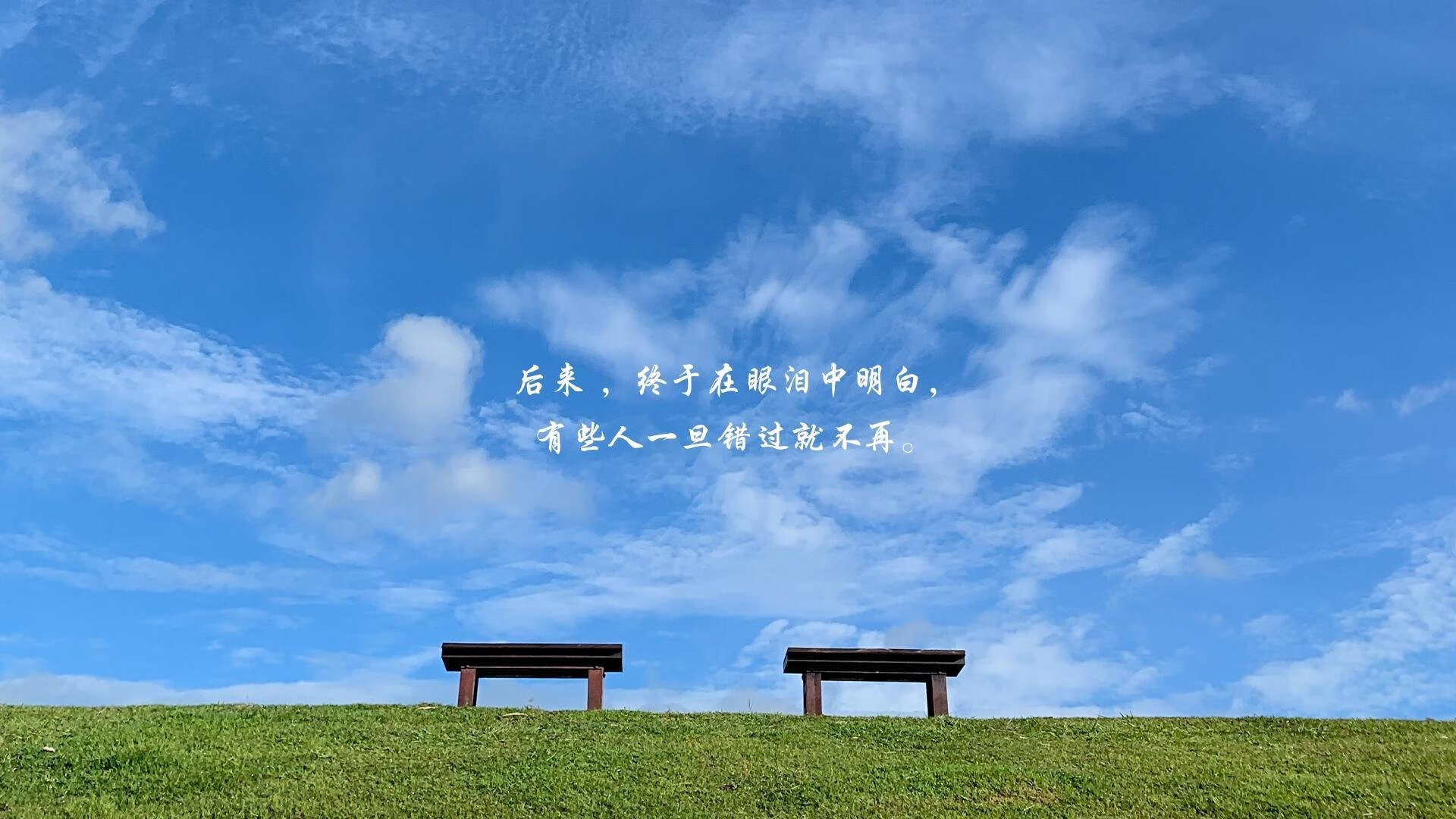 蓝白与金杯的寓言，当凯恩穿上阿根廷的10号，用一场背叛完成历史压哨救赎