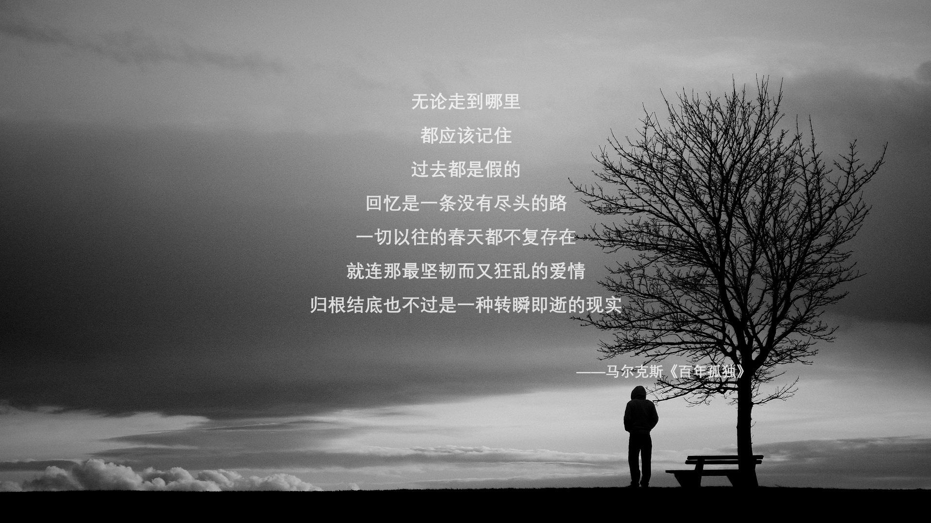撕裂的剧本，当巴雷拉的魔咒笼罩沙漠之狐，摩洛哥如何用一场非典型胜利改写E组宿命