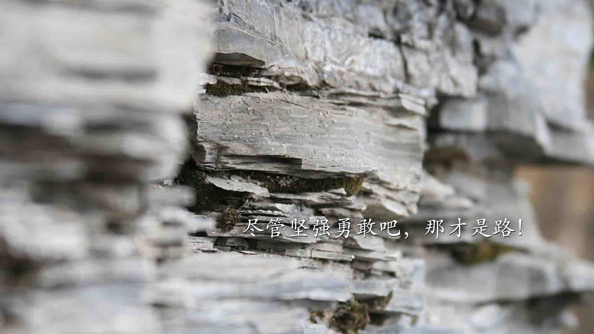 那场唯一让剧本失效的比赛,2026世界杯G组,萨内的死神之手撕碎C罗的黄昏