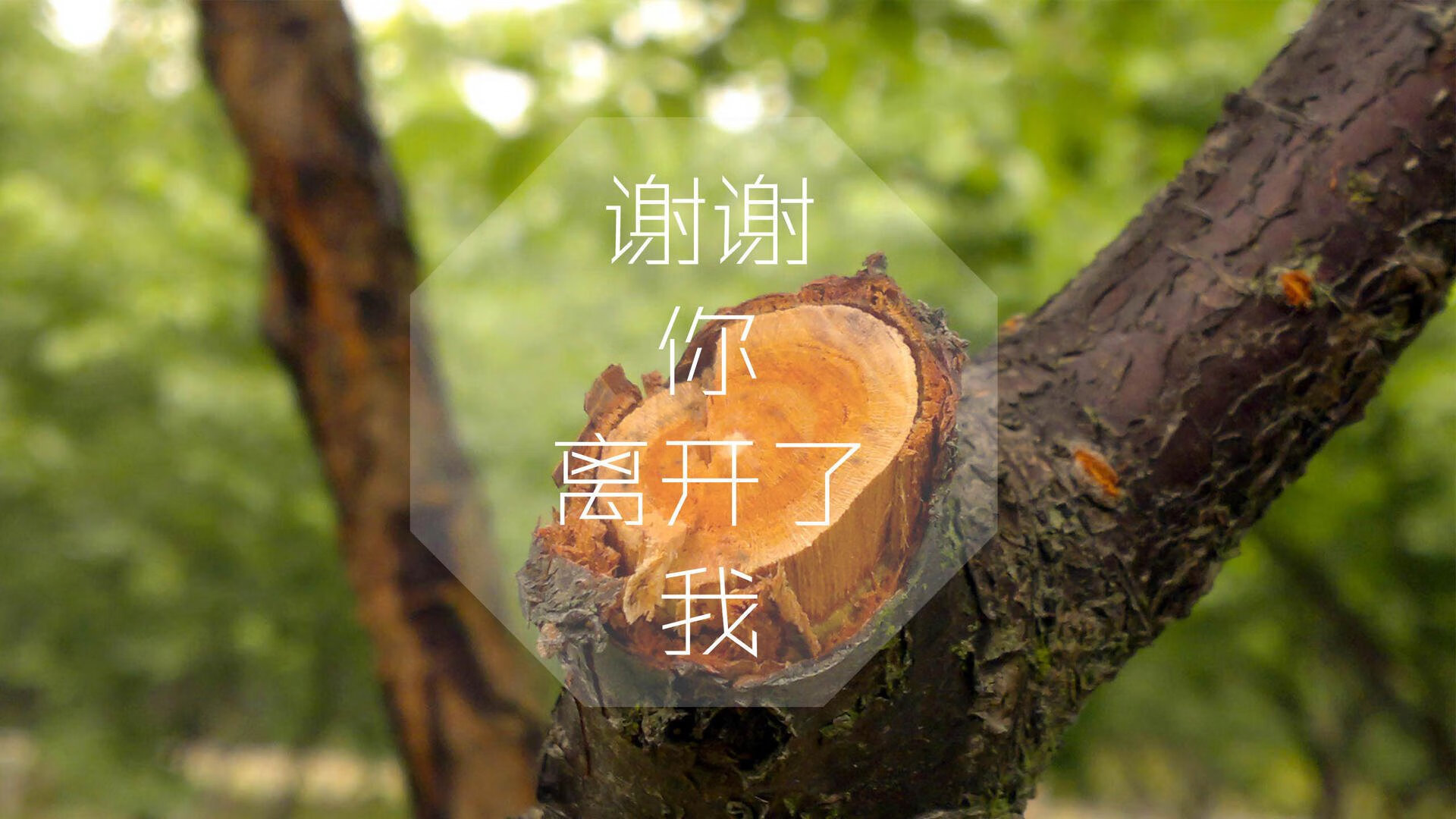 根据这个思路,我为你设计了一个标题和一篇对应的文章